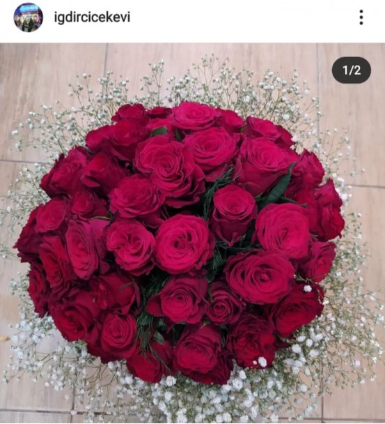 Gül Aşkı